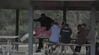 pink guy ruins picnic while emotional wii music plays in the background