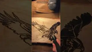 Bald Eagle (TIMELAPSE) #shorts