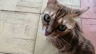 Люся! Когда хорошо, тогда хорошо