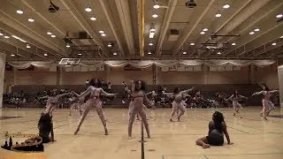 The Dynamic Badgerettes 2019 | Field Show | Creative Trio | Baby Badgerettes