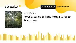Forest Stories Episode Forty Six Forest Transition