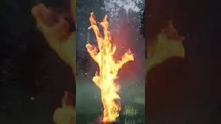 Flaming Tree in UE5 Niagara | Download Files