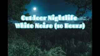 Wilderness Sounds for Sleep (10 Hours)