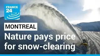 Montreal: The environmental cost of clearing the streets of snow • FRANCE 24 English