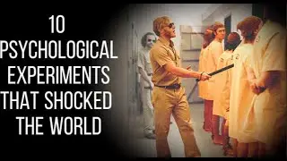 10 Psychological Experiments That Shocked the World：Human Nature Is Darker Than You Think