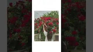 Asthetic flower poses ideas 🌺🌷#pose #ideas #aesthetic #flowers #photography #youtubefeed #poseideas