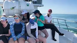 NSU Student Face-to-Face with 10 Sharks, All in the Name of Research