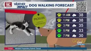 Dog walking weather: Scattered rain/snow mix makes for a green/yellow paw day | Good Day on WTOL 11