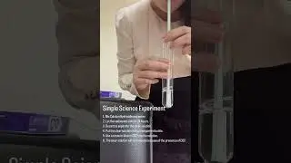 Simple Science Experiment #shortvideo #shorts #science #scienceexperiment #kidsscienceexperiment