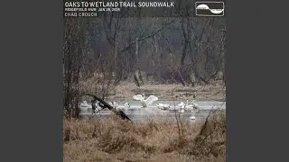 Part 12, Gee Creek Tributary