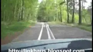 Russische Fahrbahnmarkierung