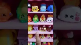 My season 1 & 2 shopkins collection (common & rare)