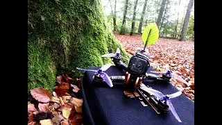 TreeDancing