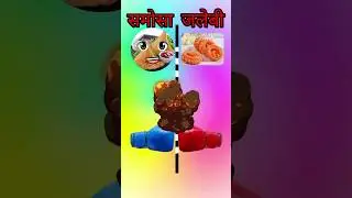 Samosa vs Jalebi | fact video #shorts