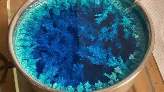 Kilos of Pure Silver Cell Clean out