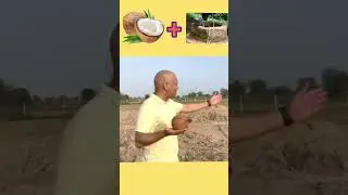 Ancient indian technique to find water😐 #viralvideo