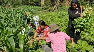 19/1/2026 လဲၤဃုအီၣ်တၢ်ဒီးတၢ်လၣ်