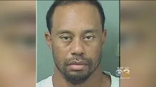 Doctor: Prescription Meds Tiger Woods Took 'Depress Reflexes'