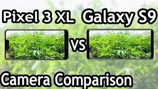 Google Pixel 3 XL Vs Samsung Galaxy S9 Camera Test | Tech Redii