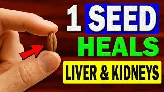 Why You Should Eat Date Seeds | Health Benefits Of Date Seeds