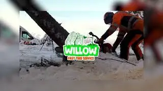 We Secure Your Property From Dangerous Trees During Snow & Ice (Free Estimates!)