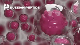 Коронавирус. Иммунитет. Пептиды Тимуса. Russian Peptide