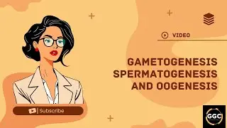 Gametogenesis  spermatogenesis and Oogenesis grade 12 ISCE and CBSE