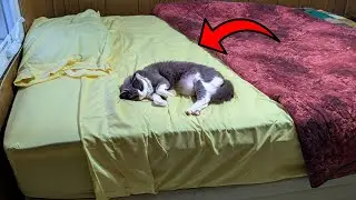 Best Deal on Soft Sheets! Affordable Luxury Sheets!