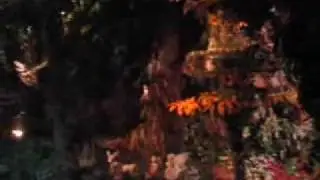 efteling droomvlucht