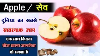 सेव का बीज सबसे जहरीला | Apple Seed Poisonous | Poisoning from Apple Seeds