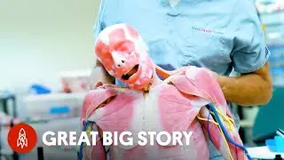 Two Forensic Stories You Won&rsquo;t Forget