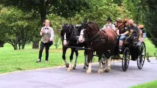 Maymont: An American Estate