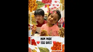 How to make Egg Rolls for kids VIRAJ'S Review V2FUNWORLD