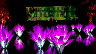 Clip 2 Of On A Wing Of Light &Amazonica Lillies At Christmas At Kew,Kew Gardens,London.26/11/25