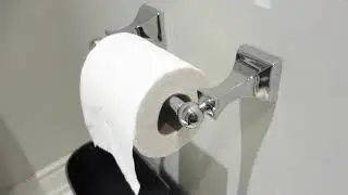 Moen Toilet Paper Holder (DN8308CH): Review