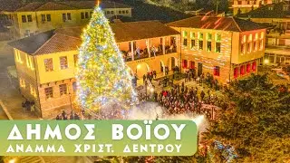 Άναμμα Χριστουγεννιάτικου δέντρου του Δήμου Βοΐου στην Σιάτιστα