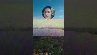 Это видео сделано в коллабе с... #СделаноВКоллабе aen