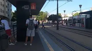Circulaciones Por El Campello | L1,L3 | Tram De Alicante
