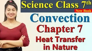 Convection (Activity 7.2) - Chapter 7 Part 2 - Heat Transfer in Nature - Science Curiosity Class 7th