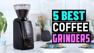 Top 5: Best Coffee Grinders in 2026
