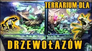 Jak zrobić terrarium dla DRZEWOŁAZ&Oacute;W  lub Liściołaz&oacute;w