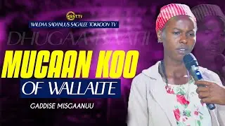 GADDISE MISGAANUU / WALDAA SADANUUS SAGALEE TOKKOON