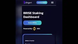 How-to stake BITGERT $BRISE!