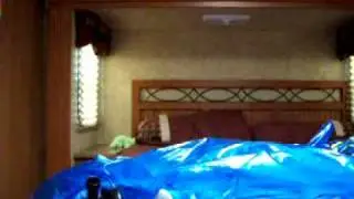 How to ride an inflatable shark