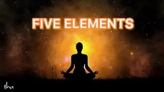 Design Of Human Body | Five Elements | Live With Sense