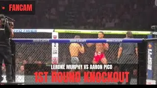 Lerone Murphy vs. Aaron Pico Knockout full fight Hightlights video highlights Fancam