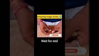 machis tili best moment.in.a.Short.video