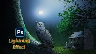 Dark Forest Fantasy Photo Manipulation - Photoshop Tutorial