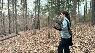 TRYING TO BEAT THE RAIN: Falconry With a Red-tailed Hawk