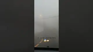 Dangerous time to drive with zero visibility  🚗🌫 #zerovisibility #driving #foggy #autumn